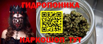 тгк Пенза