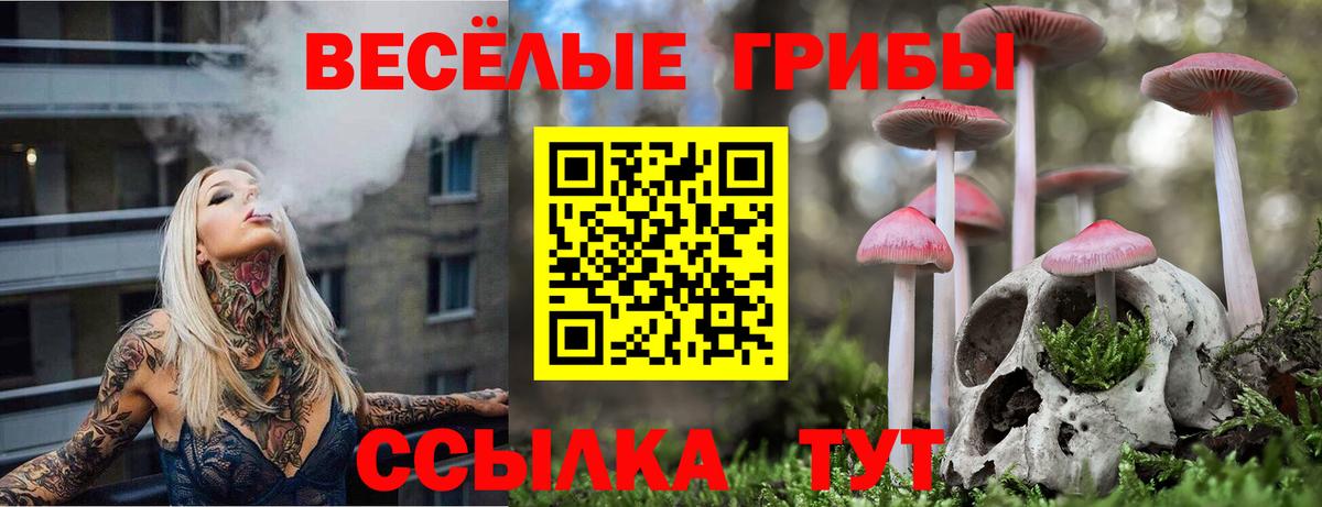 Псилоцибиновые грибы MAGIC MUSHROOMS  Псилоцибиновые грибы Magic Shrooms  Вход с VPN  Славянск-на-Кубани 